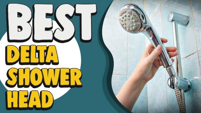 Delta Shower Head Reviews